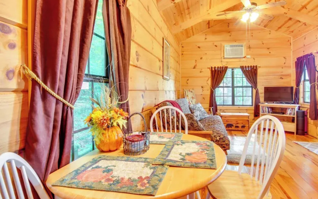 photo 5 of Hendersonville Creekside Cabin: Near Dupont Forest
