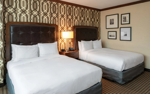 photo 4 of Hilton Alexandria Mark Center