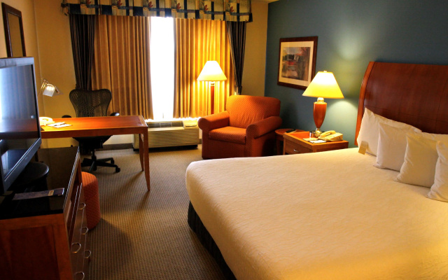 photo 4 of Hilton Garden Inn Albany