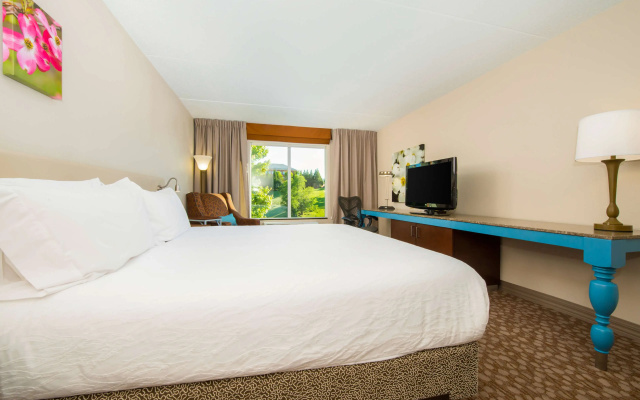 photo 4 of Hilton Garden Inn Charlottesville