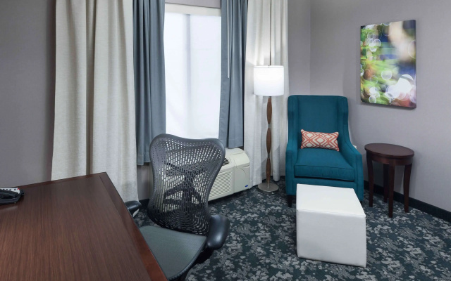 photo 5 of Hilton Garden Inn Detroit/Novi