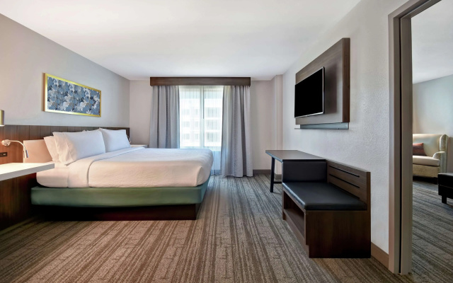 photo 3 of Hilton Garden Inn Houston/Galleria Area