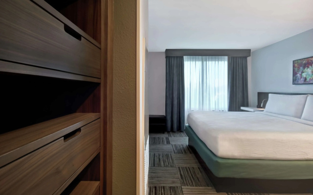 photo 5 of Hilton Garden Inn Houston/Galleria Area
