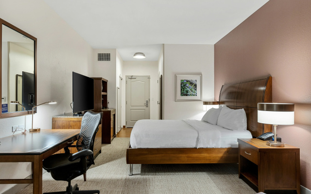 photo 4 of Hilton Garden Inn New Orleans French Quarter/CBD