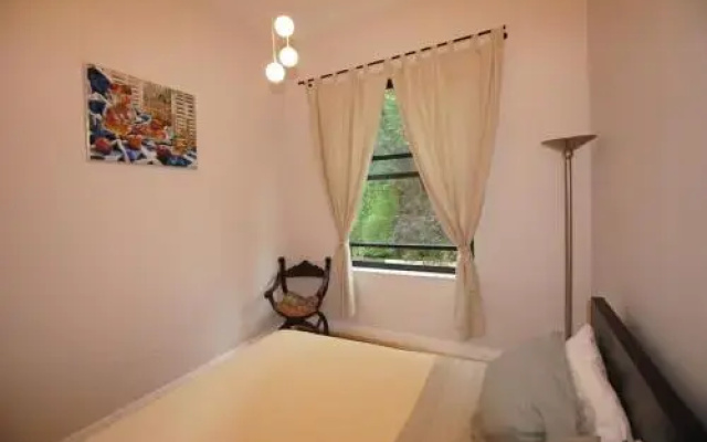 photo 3 of Historic Harlem Duplex
