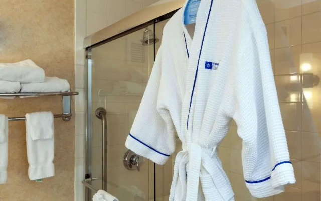 photo 4 of holiday inn