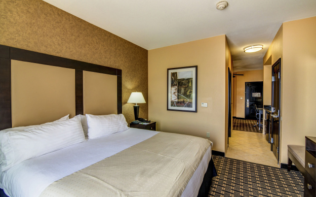 photo 3 of Holiday Inn Arlington NE-Rangers Ballpark by IHG