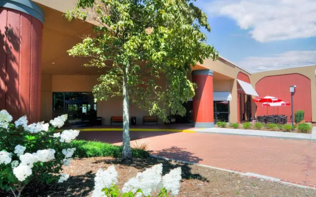 photo 3 of Holiday Inn Asheville Airport I-26