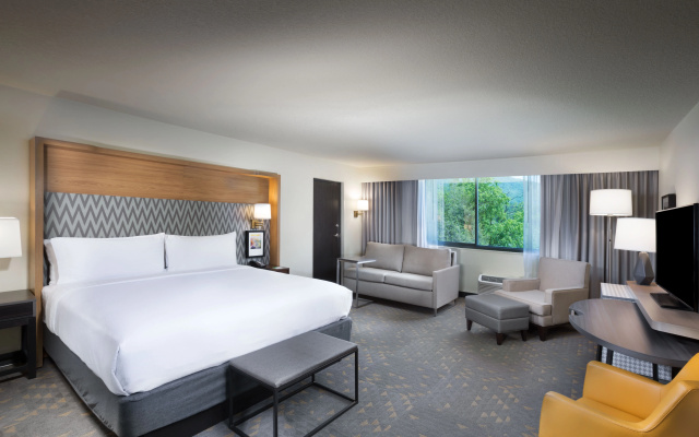 photo 4 of Holiday Inn Asheville East-Blue Ridge PKWY by IHG