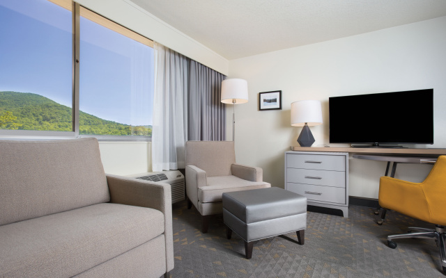 photo 5 of Holiday Inn Asheville East-Blue Ridge PKWY by IHG