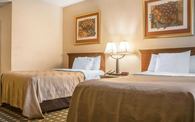 photo 5 of Quality Inn & Suites Palm Island Indoor Waterpark