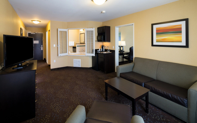 photo 4 of Holiday Inn Express & Suites Detroit North - Troy by IHG