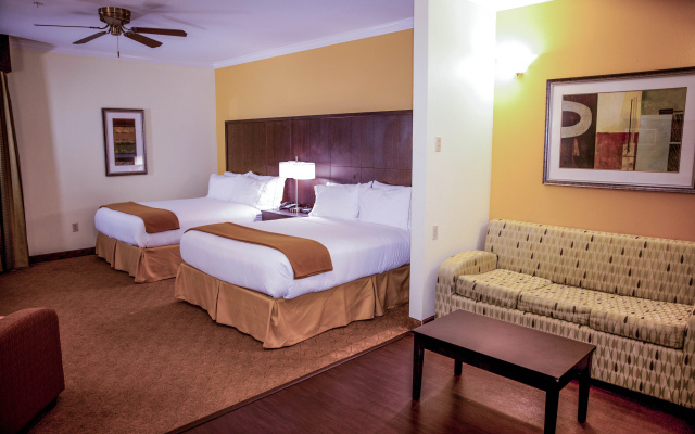 photo 5 of Holiday Inn Express & Suites Houston North Intercontinental by IHG