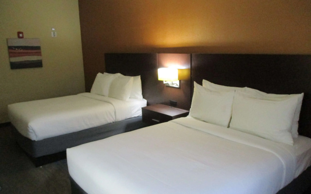 photo 3 of Best Western St. Louis Airport North Hotel & Suites