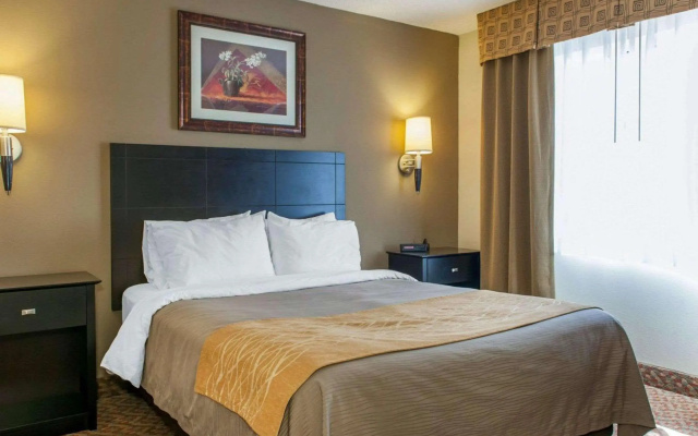 photo 5 of Comfort Inn Near Ouabache State Park