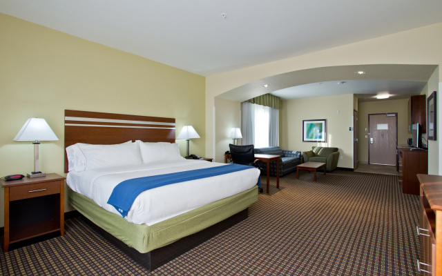 photo 4 of Holiday Inn Express Hotel & Suites Denver East-Peoria Street by IHG