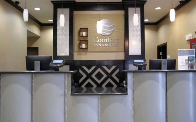 photo 2 of Comfort Inn & Suites Dallas Medical - Market Center