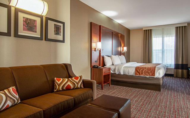 photo 4 of Comfort Suites NW Dallas Near Love Field