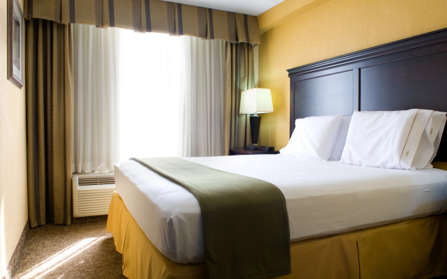 photo 3 of Holiday Inn Express Hotel & Suites DFW Airport South by IHG