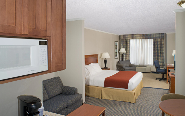 photo 3 of Holiday Inn Express & Suites East Greenbush (Albany-Skyline) by IHG