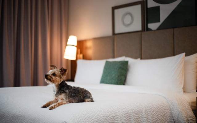 photo 3 of Staybridge Suites Chicago O'Hare - Rosemont by IHG