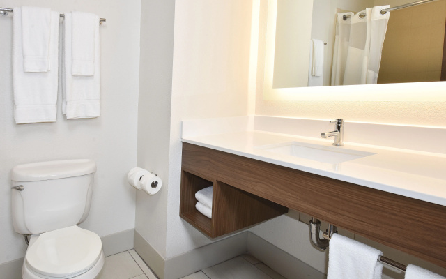 photo 4 of Holiday Inn Express and Suites Selma