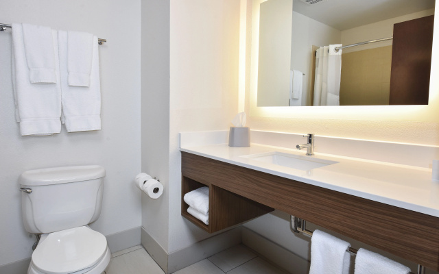 photo 5 of Holiday Inn Express and Suites Selma