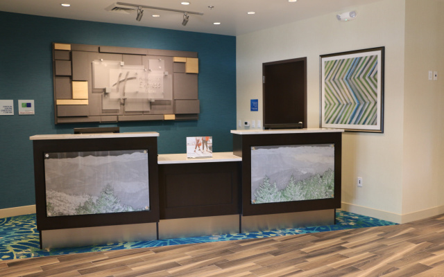 photo 3 of Holiday Inn Express & Suites Hendersonville SE - Flat Rock