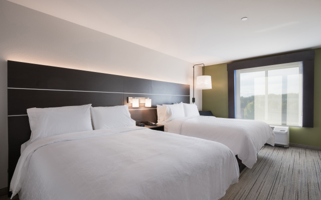 photo 5 of Holiday Inn Express & Suites Chicago - Hoffman Estates by IHG