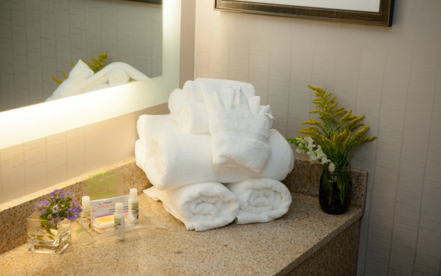photo 2 of Holiday Inn Greenville by IHG