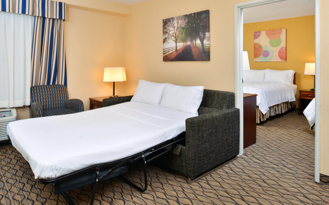 photo 3 of Holiday Inn & Suites Chicago - Downtown by IHG