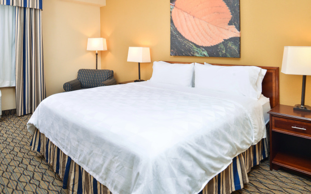 photo 5 of Holiday Inn & Suites Chicago - Downtown by IHG