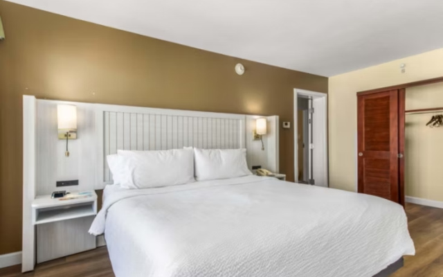 photo 5 of Holiday Inn & Suites Clearwater Beach by IHG