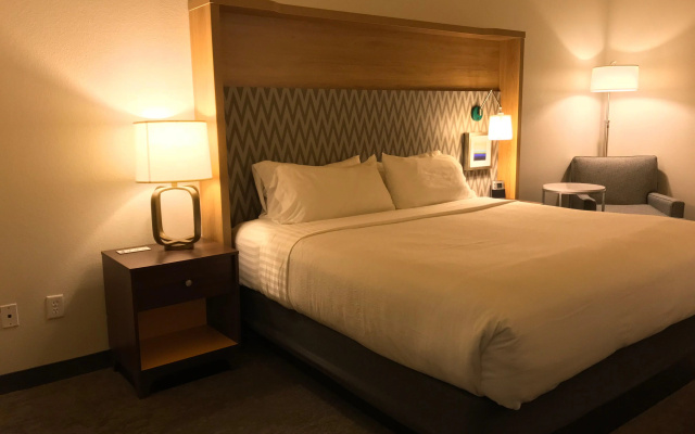 photo 4 of Holiday Inn & Suites McKinney - N Allen by IHG