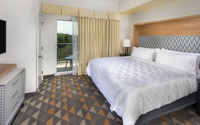 photo 3 of Holiday Inn & Suites Arden - Asheville Airport by IHG