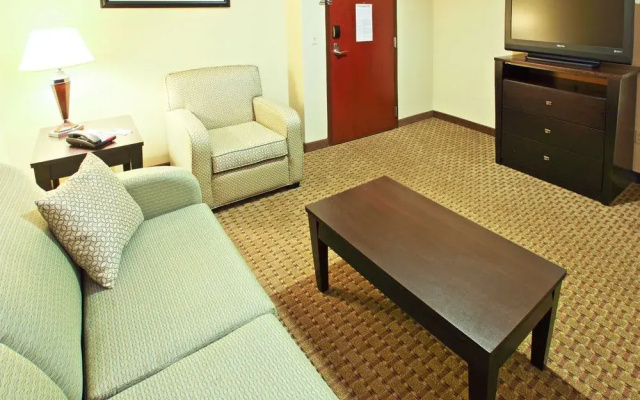 photo 3 of Holiday Inn Hotel and Suites Rogers Pinnacle Hills