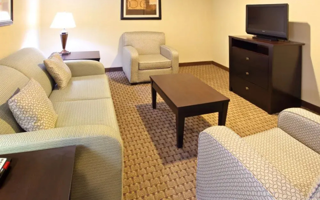 photo 4 of Holiday Inn Hotel and Suites Rogers Pinnacle Hills