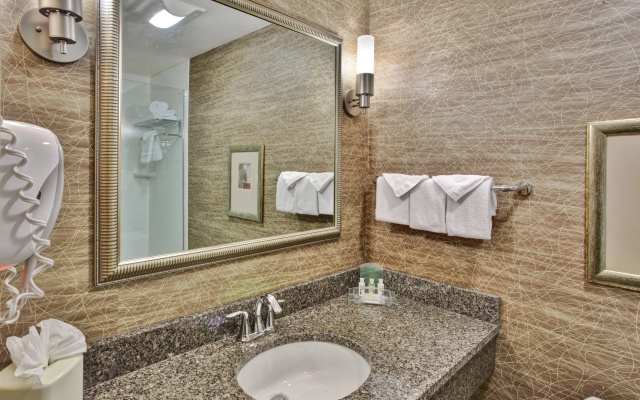 photo 5 of Holiday Inn Hotel & Suites Detroit Metro Airport