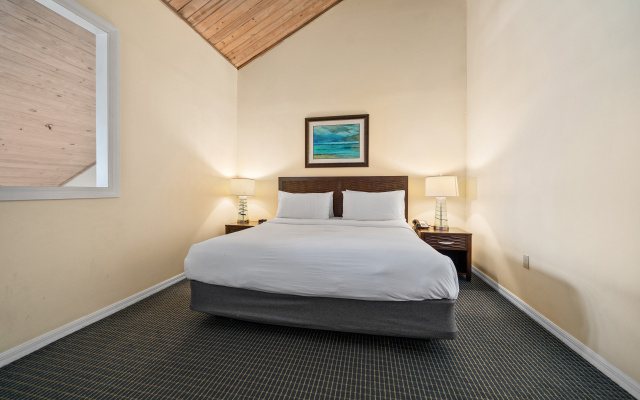 photo 3 of Holiday Inn & Suites Clearwater Beach S-Harbourside by IHG