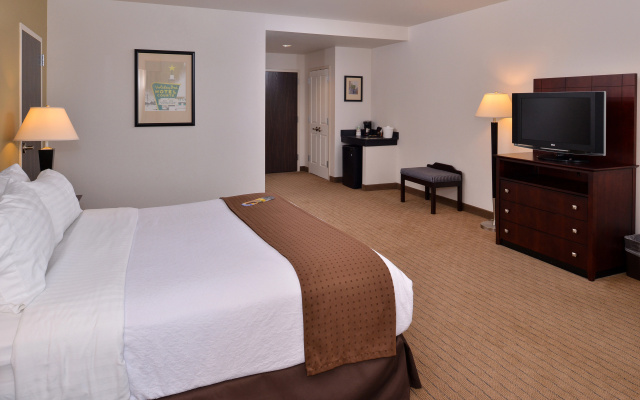 photo 4 of Holiday Inn Madison at The American Center by IHG