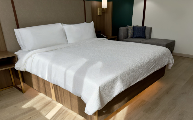 photo 5 of Holiday Inn Houston S - Nrg Area - Medical Center by IHG