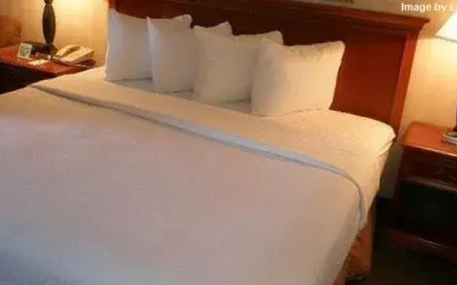 photo 3 of Holiday Inn Sport Complex