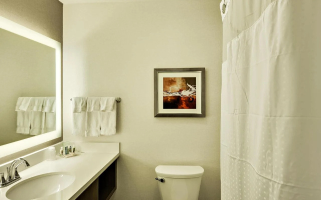 photo 4 of Holiday Inn St. George Conv Ctr by IHG