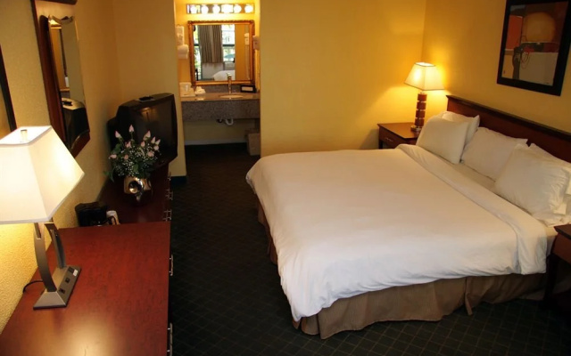 photo 3 of Holiday Park Hotels  Suites