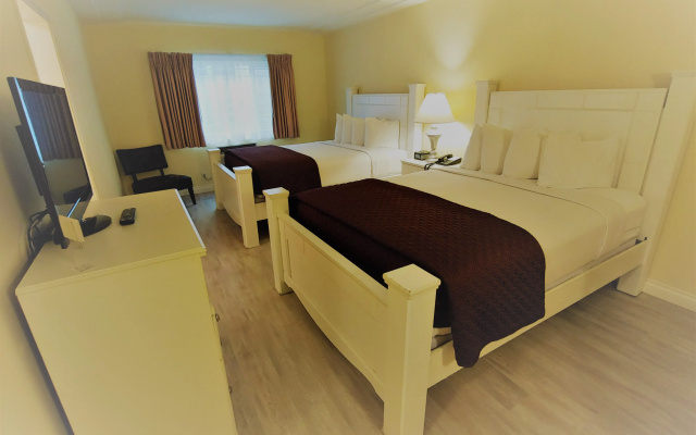 photo 4 of Hollywood Celebrity Hotel