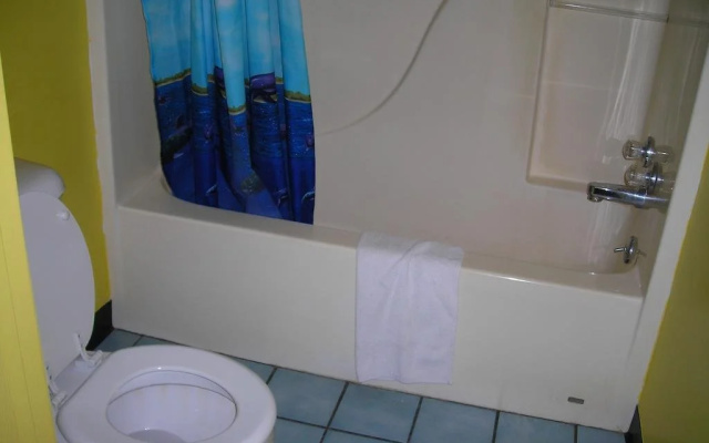 photo 4 of Hollywood Motel