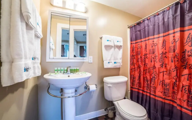photo 5 of Hollywood Nights Apartment