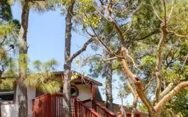 photo 5 of Home by Beach 5 - The Treehouse
