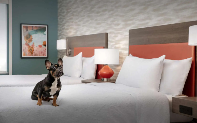 photo 5 of Home2 Suites By Hilton Georgetown Austin North