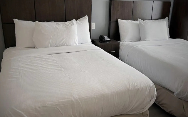 photo 2 of Hotel 21 Nyc
